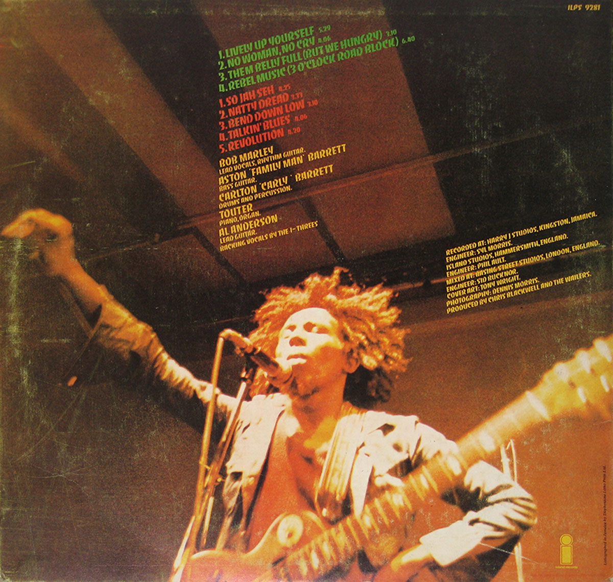 High Resolution Photo #11 bob marley natty dread